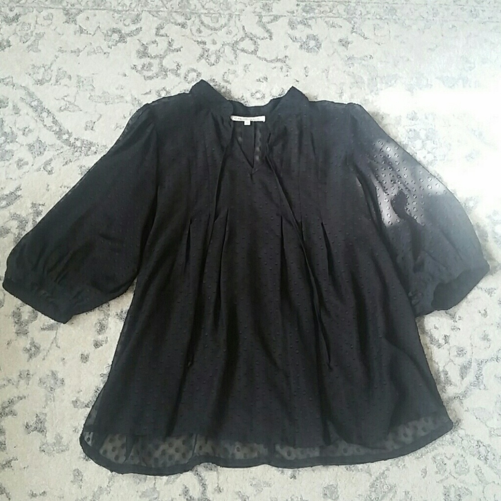 Daniel Rainn Sheer Swiss Dot Blouse